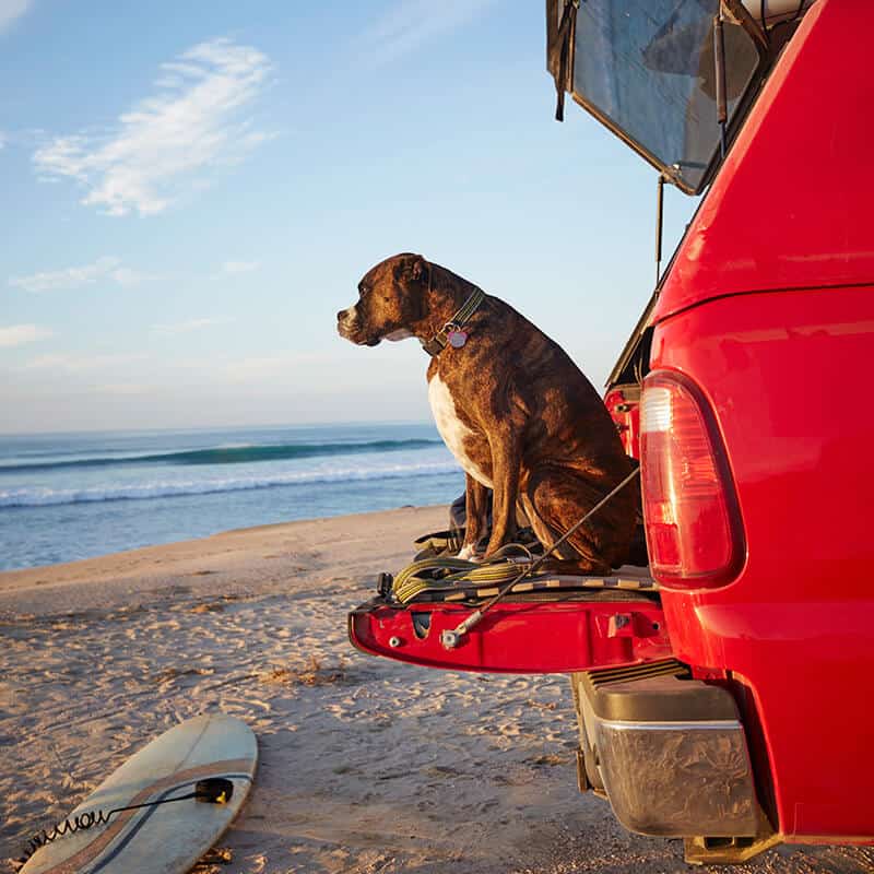 Ratenkredite mit Sebone Finance