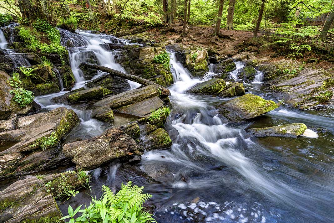 Selkefall im Harz, Sachsen-Anhalt