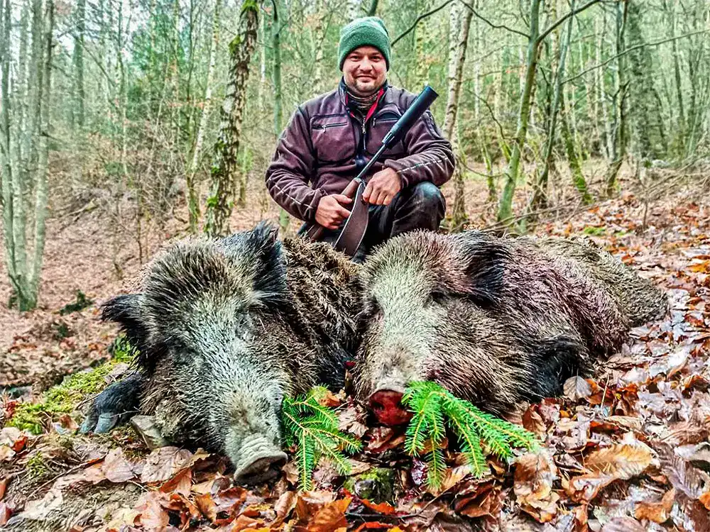 Jagdreise Kroatien – Sauenjagd mit JAGD TOTAL Jäger kniet im Wald hinter zwei erlegten Sauen – Jagdreise nach Kroatien mit JAGD TOTAL