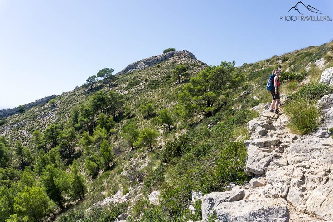 Talaia d’Alcúdia