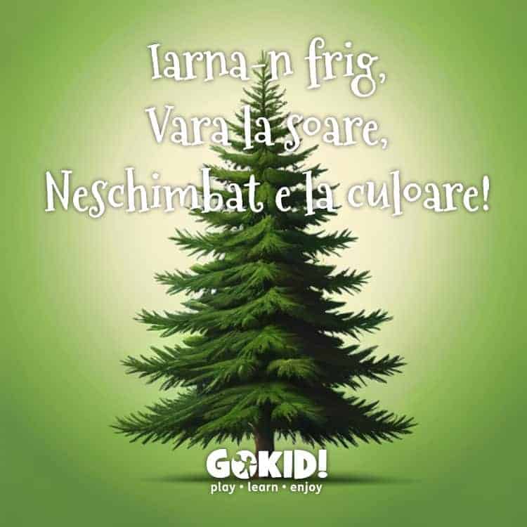 ghicitori scurte cu plante brad