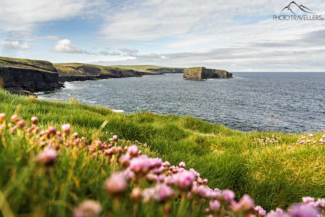 Die Kilkee Cliffs in Irland