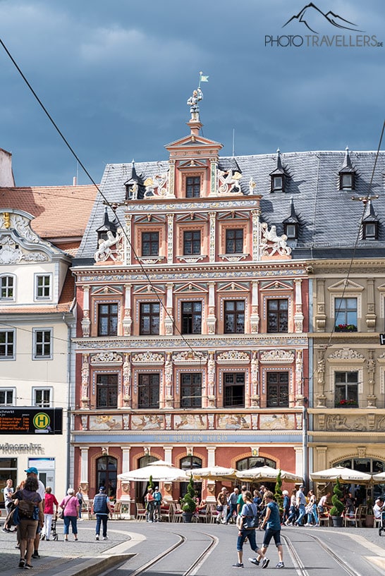 Der Blick über den Fischmarkt in Erfurt