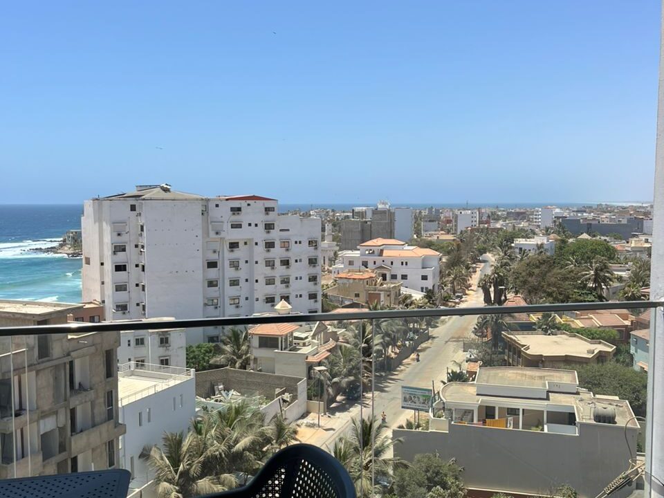 WhatsApp Image 2025-02-20 at 11.24.16