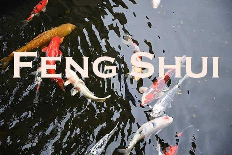 feng shui