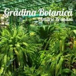 Grădina Botanică București muzee kid-friendly gradina botanica gokid
