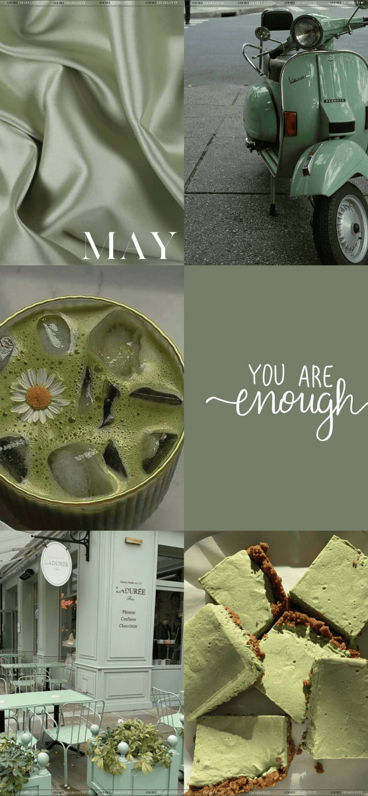Aesthetic Sage Green Winter May 2024 Phone Wallpaper