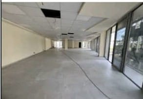 WhatsApp-Image-2025-03-14-at-11.24.46