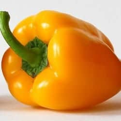 ardei galben yellow pepper poivron jaune peperone giallo pimiento amarillo Paprika gelb legume ordonate alfabetic gokid