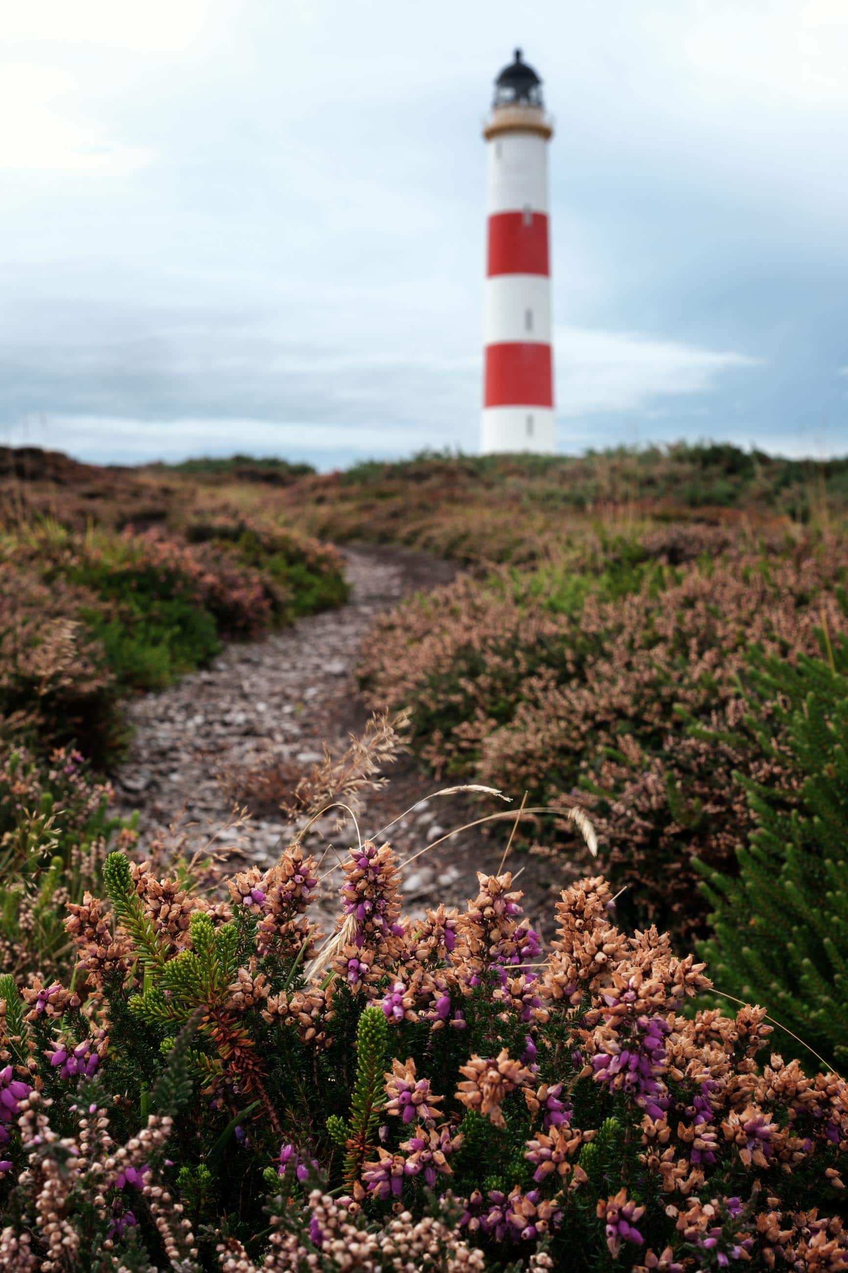 Tarbat Ness Lighthouse