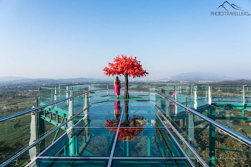 Reisebloggerin Biggi Bauer auf dem Mekong Skywalk in Thailand