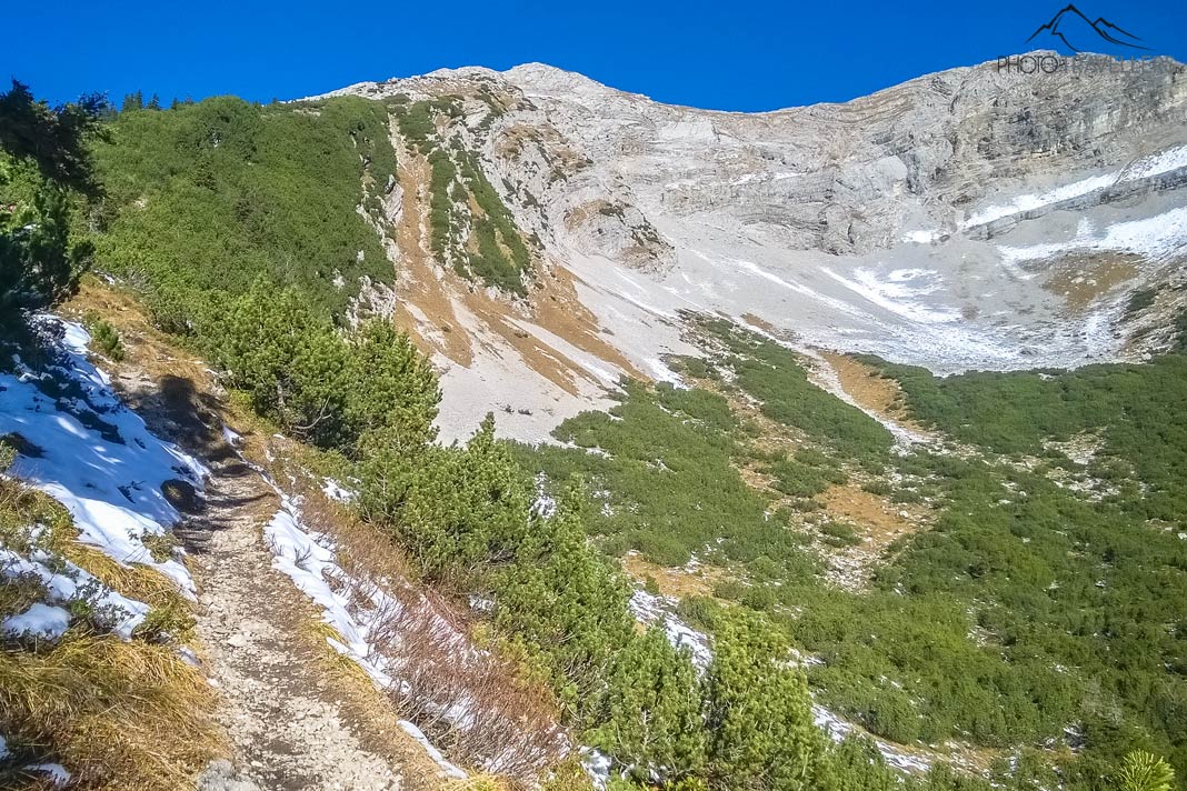 Der Wanderweg zum Daniel, hier noch in der Latschen-Zone