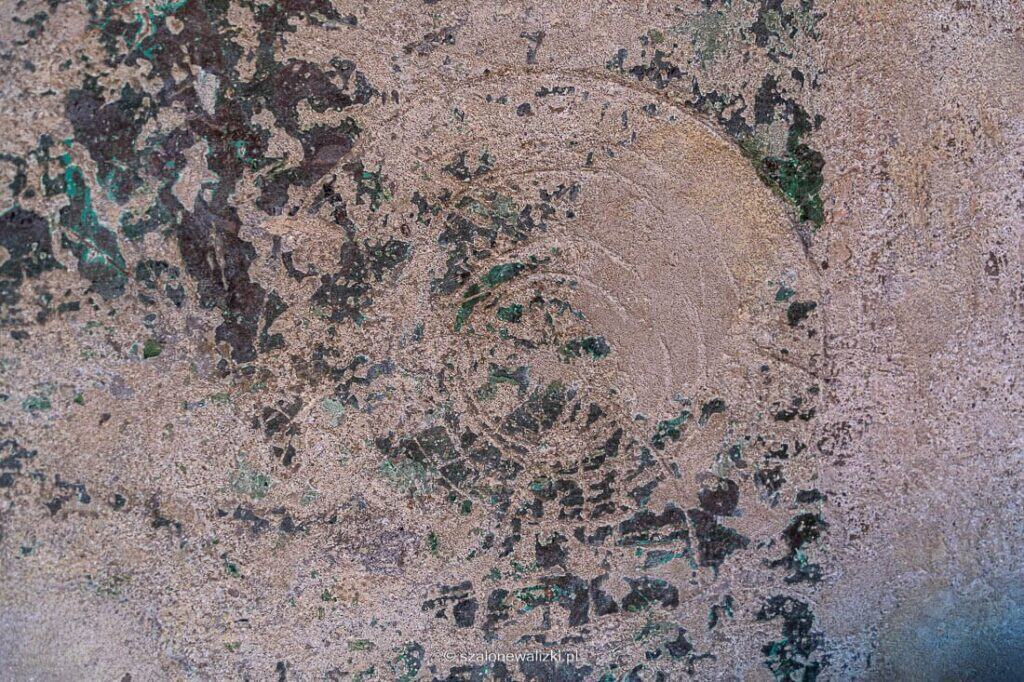 zamki gotyckie na Warmii i Mazurach