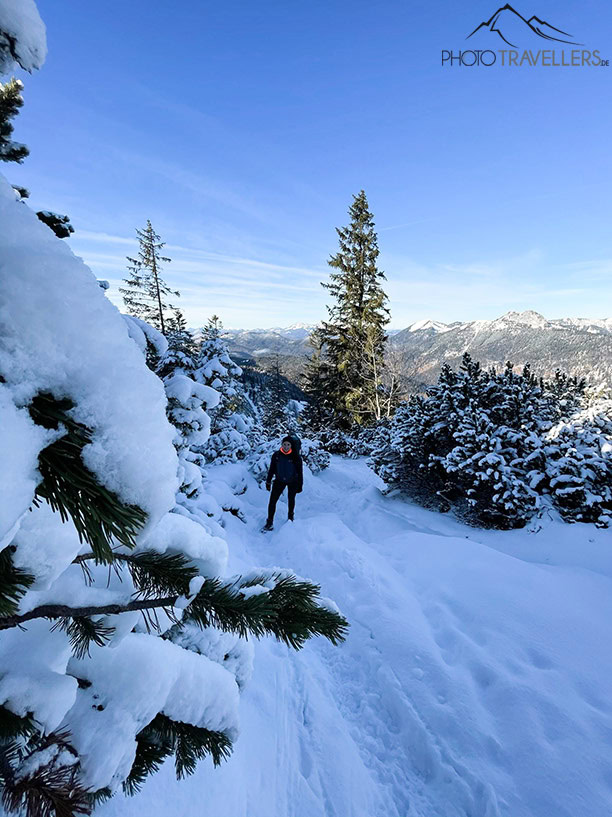 Biggi im verschneiten Bergwald