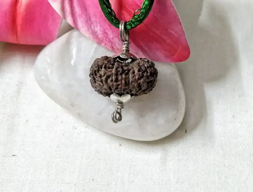 15 Mukhi Rudraksha
