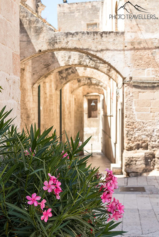 Säulengänge an der Piazza Palmieri in Monopoli mit Blumen im Vordergrund