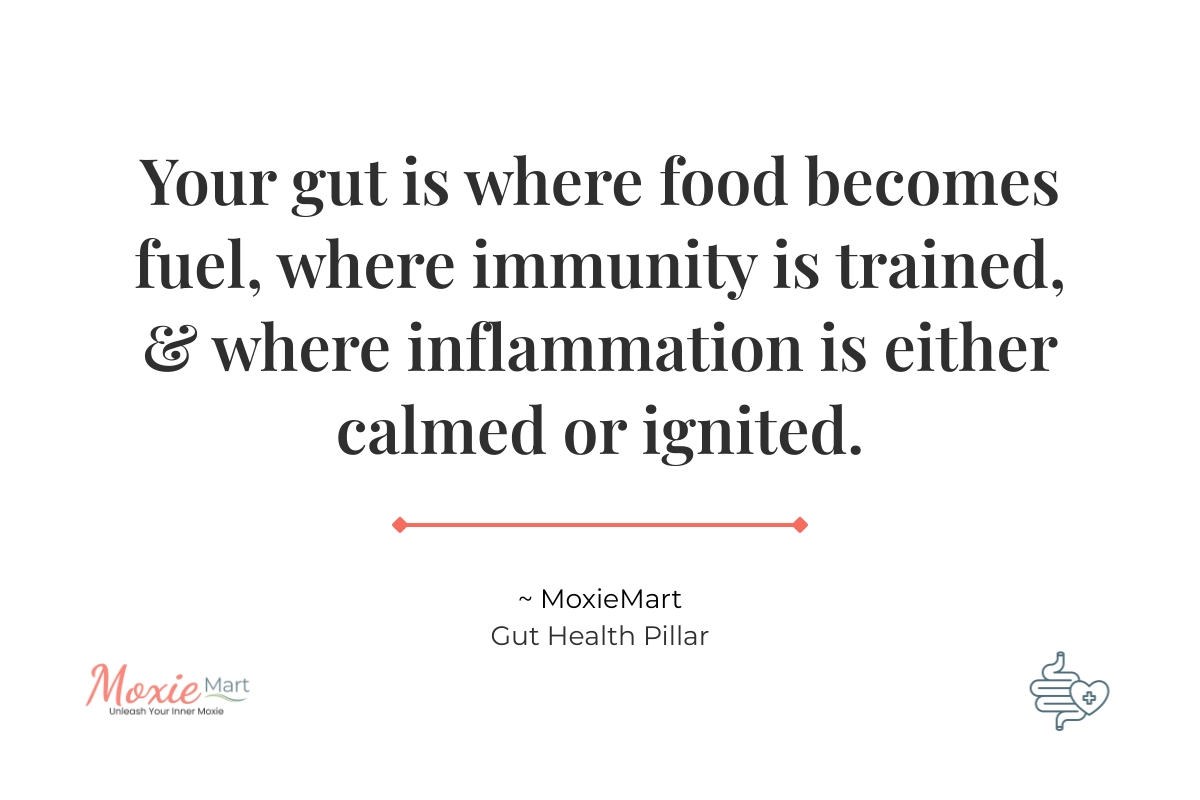 MoxieMart Gut Pillar Quote MoxieMart's Philosophy on Gut Health