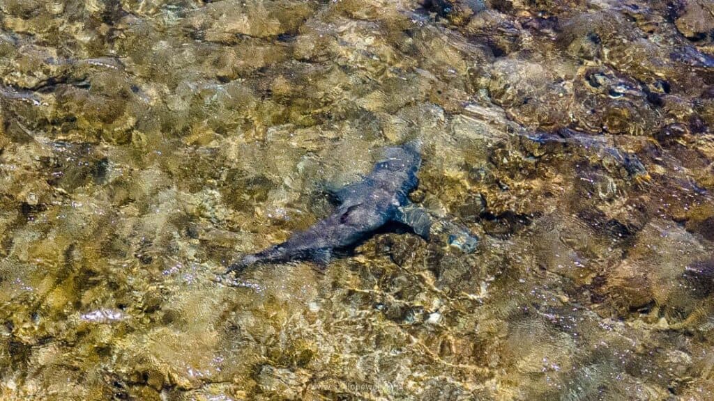 wyspy zielonego przylądka