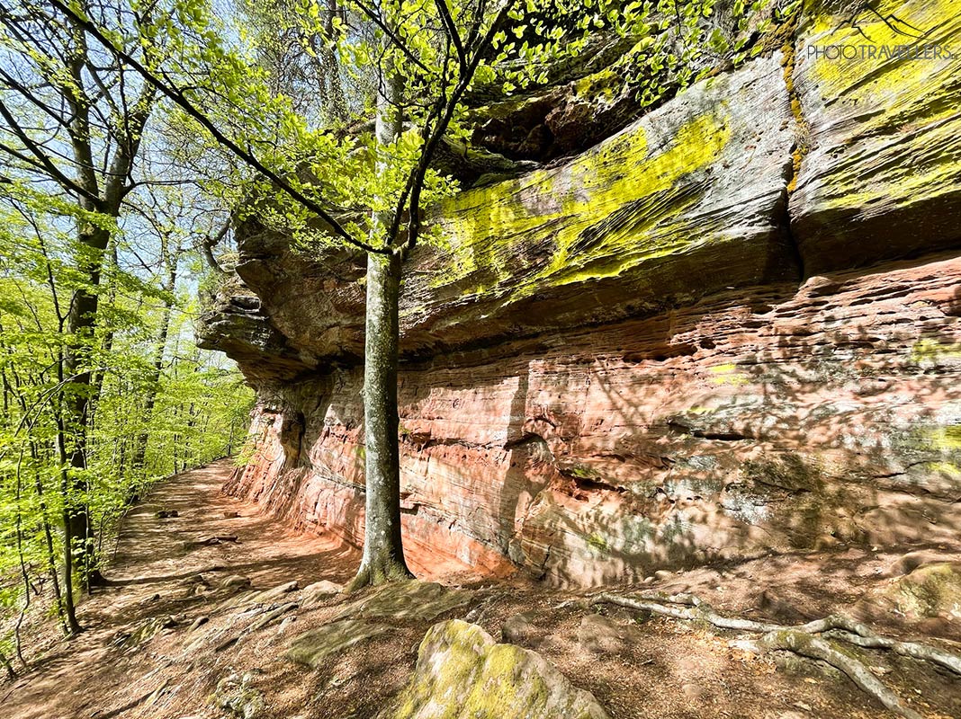 Die Altschloss Felsen im Pfälzerwald