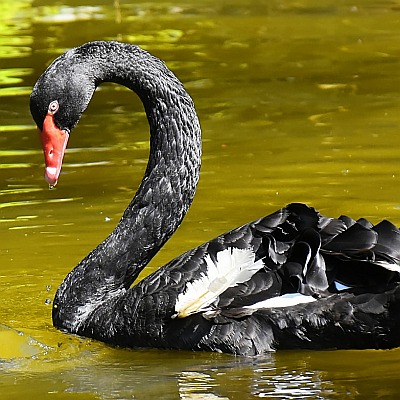 Maschinelles Lernen als Waffe