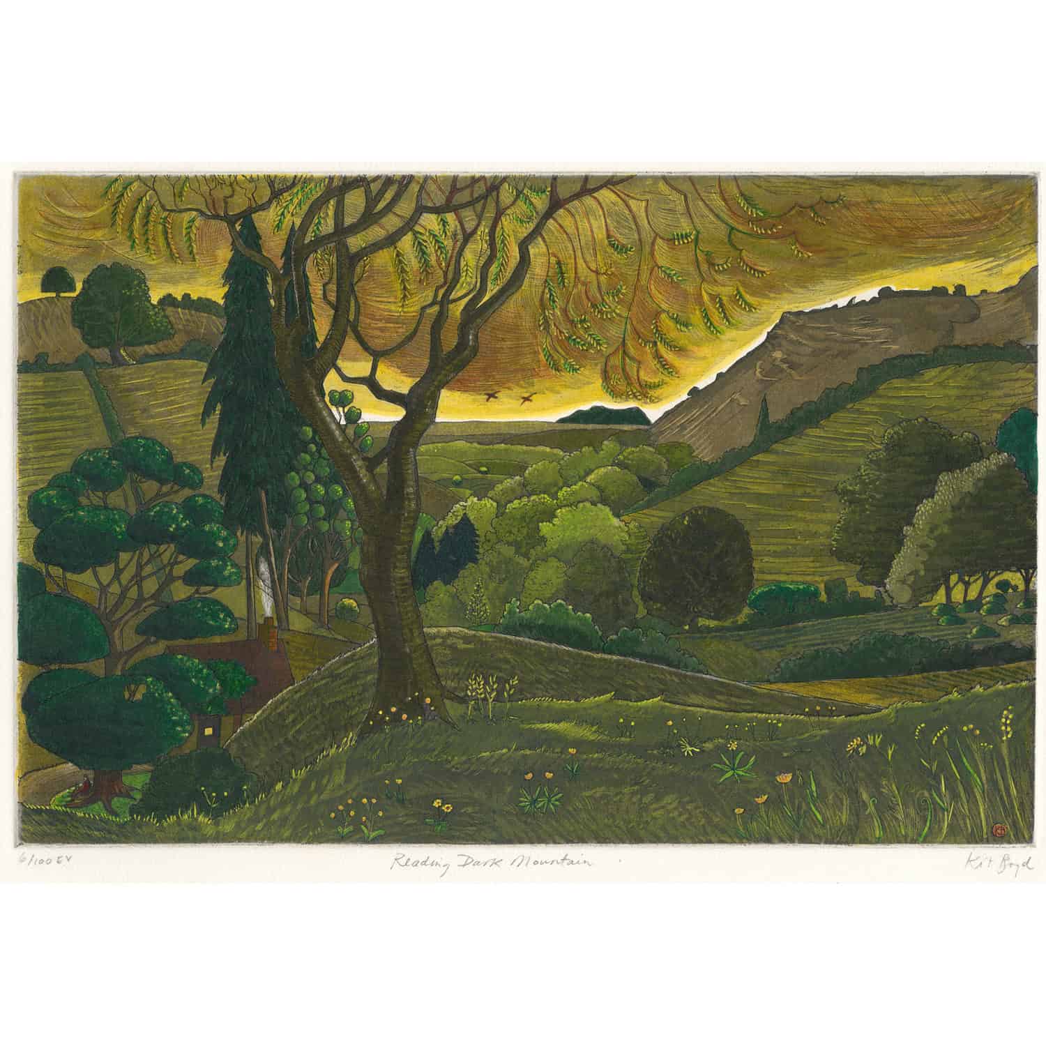 2267C Reading Dark Mountain 6/100 EV- Kit Boyd