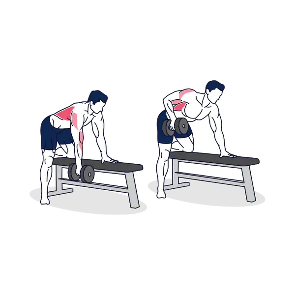 Dumbbell Rows
