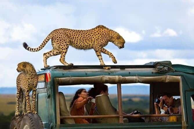 Kenya Travel Insurance Kenya Travel Insurance