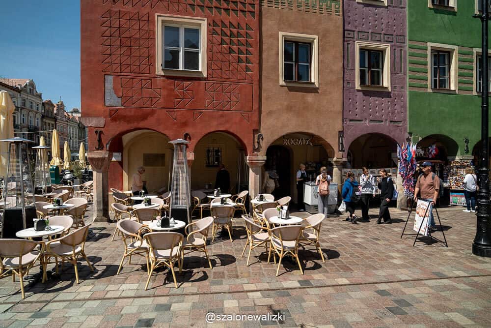 rogal świętomarciński