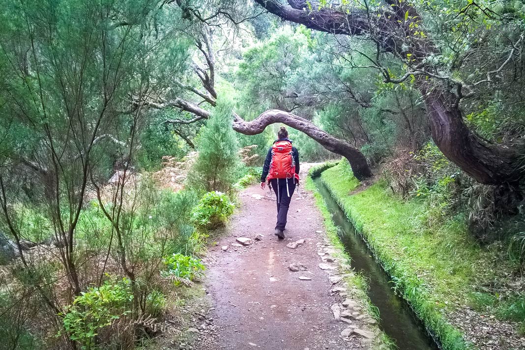 Reisebloggerin Biggi Bauer im Wald auf einem Levada-Wanderweg auf Madeira