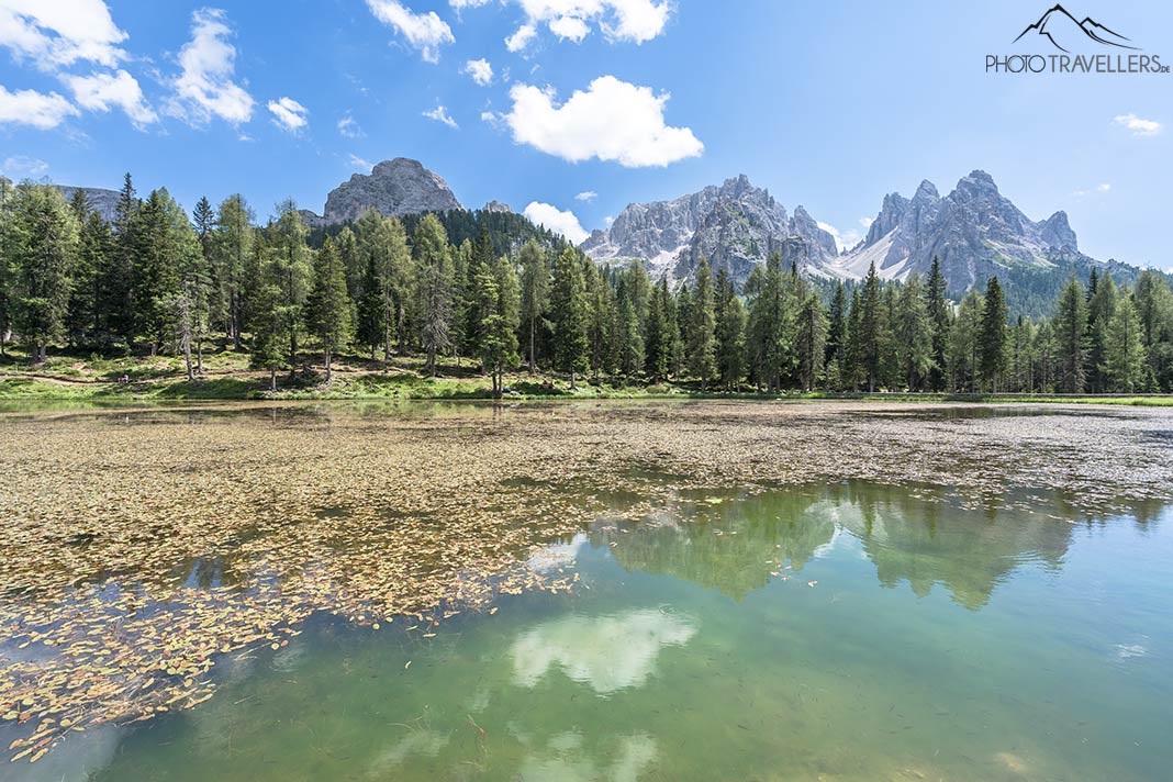 Blick über den Antornosee