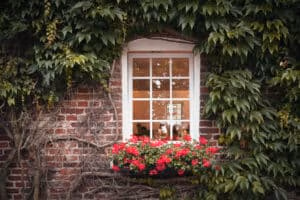 Hochzeitslocation Haus Runde 11 Eine Backsteinmauer mit einem von Efeu umrahmten Fenster – eine ideale Eventlocation für Firmenevents.