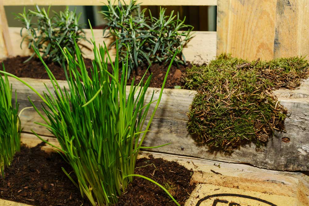 Kreativer Kräutergarten