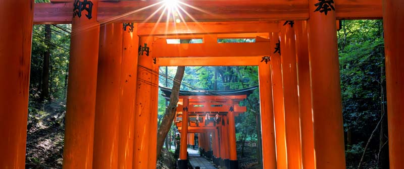 Rote Tore im Fushimi Inari-Taisha, eine der bekanntesten Sehenswürdigkeiten in Japan