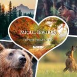 Micul Iepuraș. Poveste terapeutică adaptată după 101 Healing Stories for Kids and Teens de G. W. Burns Micul Iepuras. Poveste terapeutica 101 Healing Stories for Kids and Teens gokid