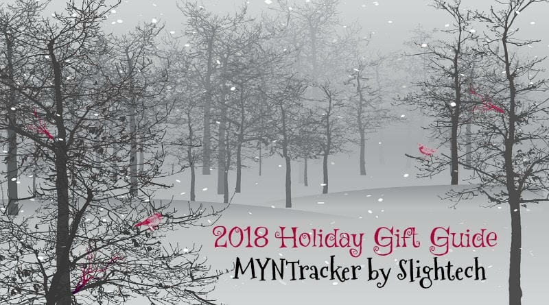 MYNT 2018 Holiday Gift Guide FI