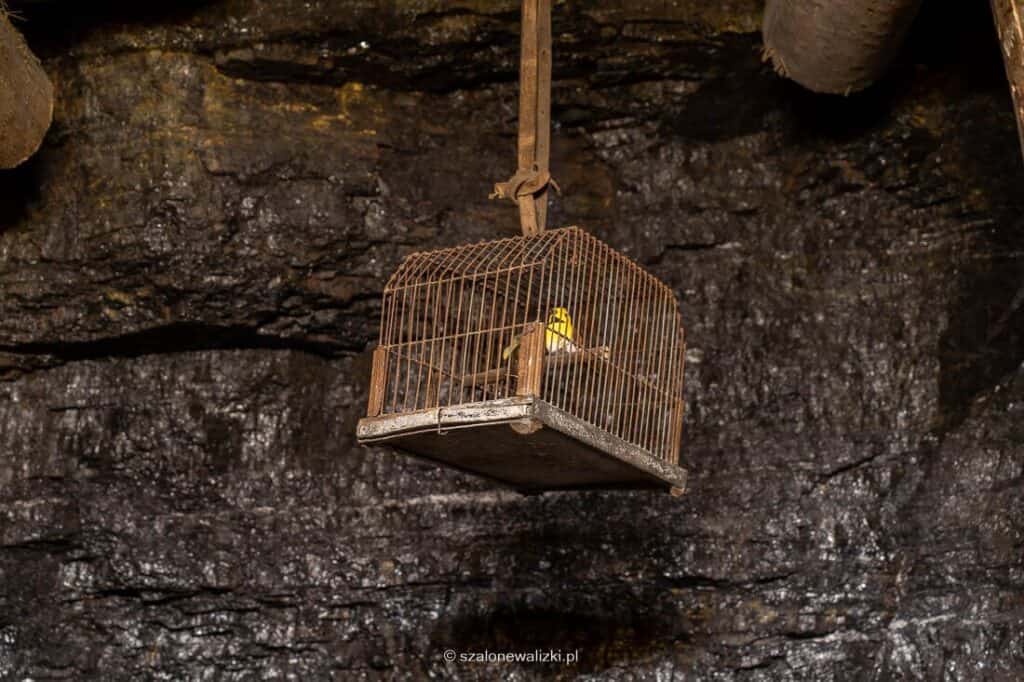 kopalnia guido w zabrzu