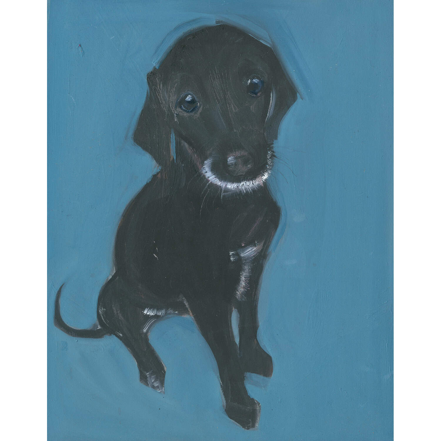 4696C Black Puppy on Blue Background – Sally Muir
