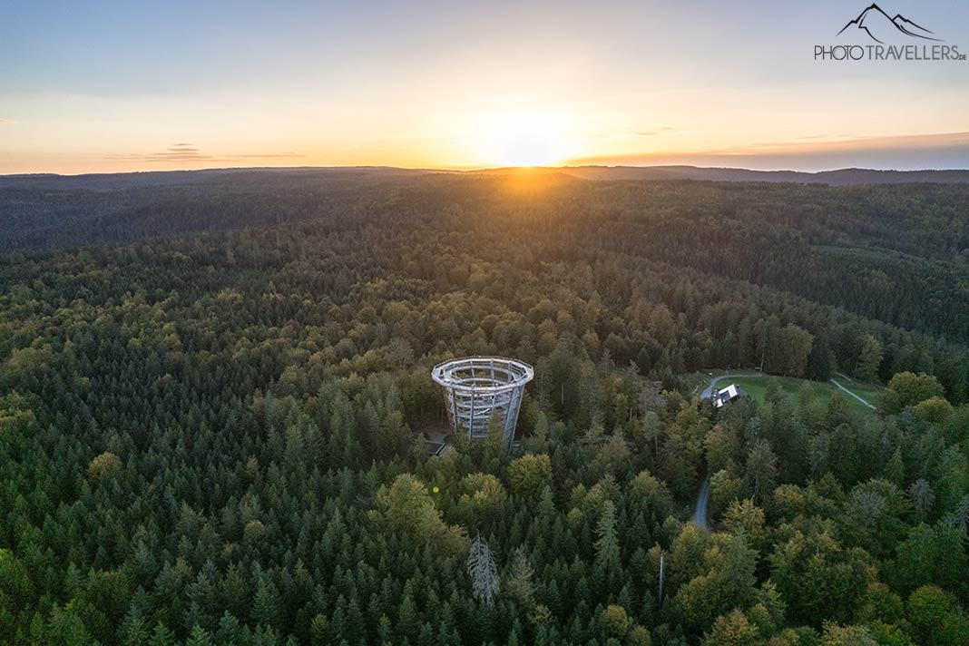 Der Baumwipfelpfad Schwarzwald aus der Luft