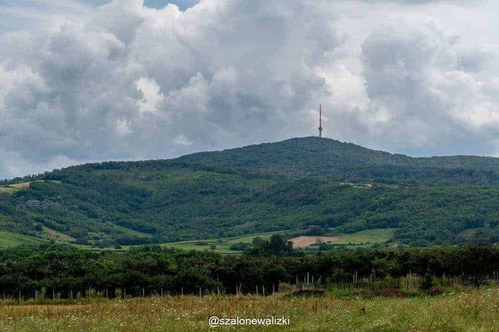 ścieżka rowerowa w Tokaju