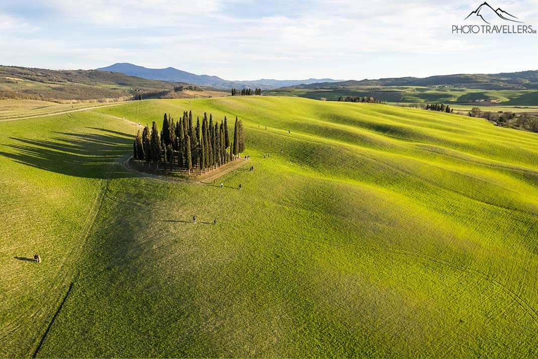 Die Zypressen von San Quirico d'Orcia im Val d'Orcia aus der Luft