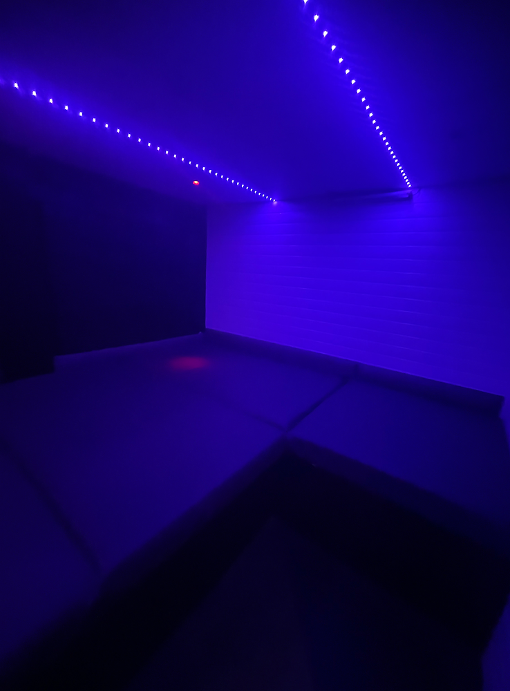 Couples Only Room.png