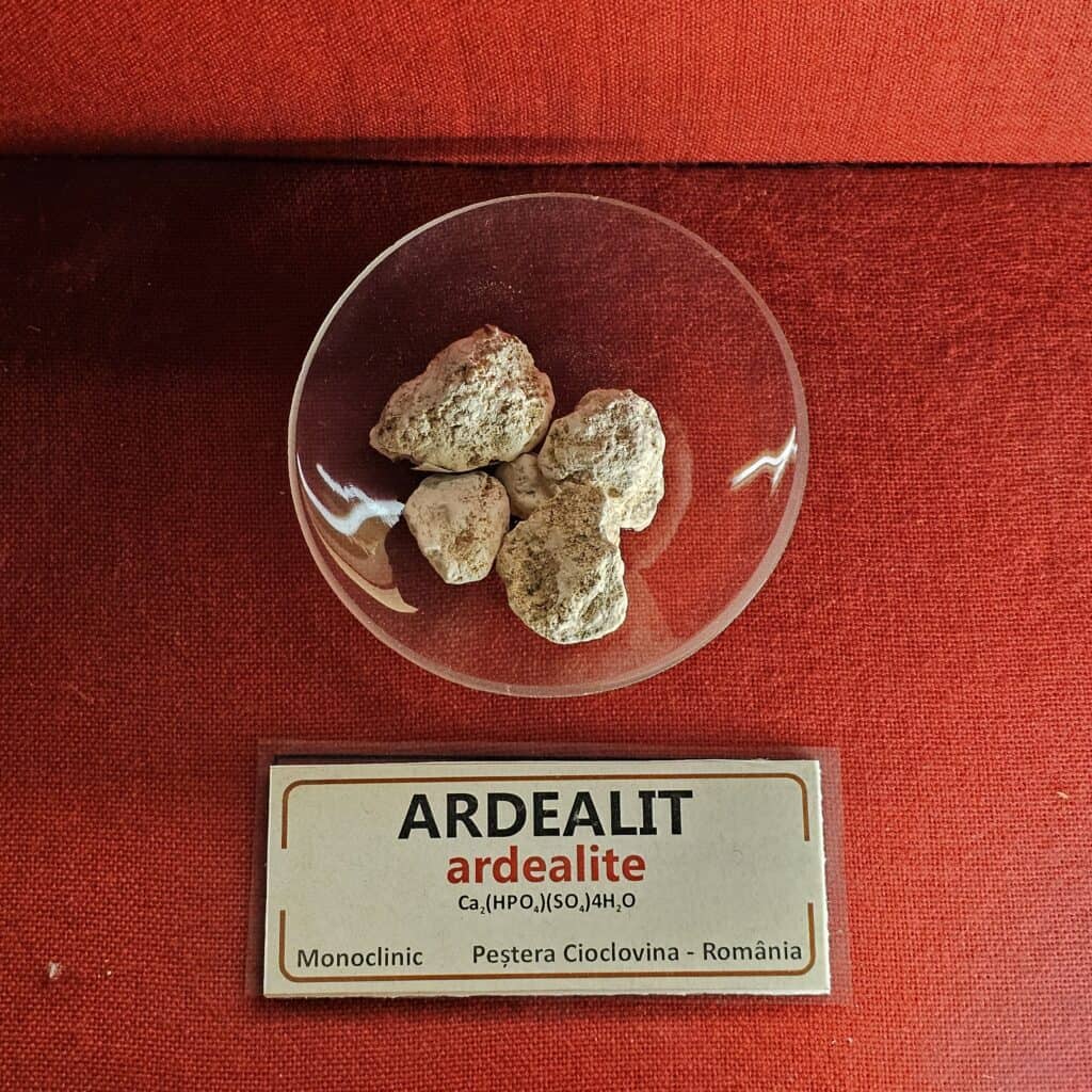 Muzeul Geologic Național - exponat