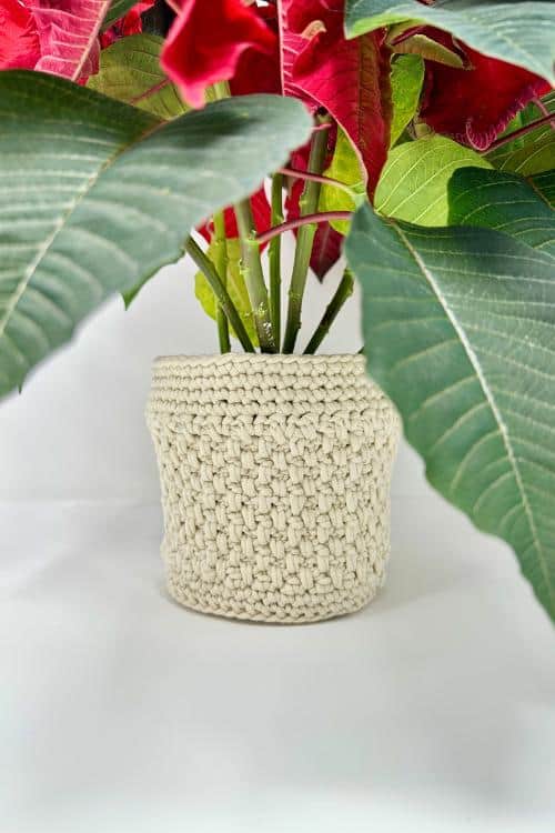 a crochet planter with poinsettia