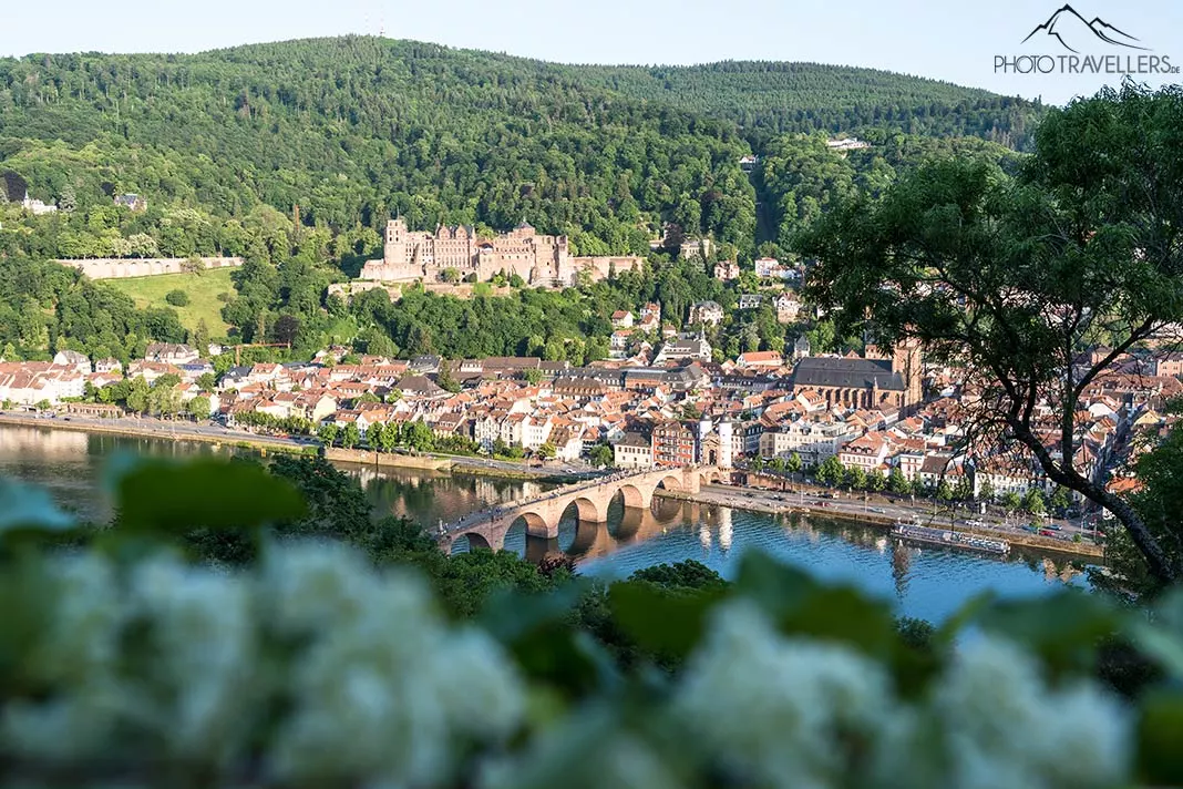 Der Blick auf Heidelberg mit dem Heidelberger Schloss