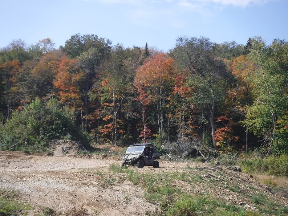 Fall_leaves_atv