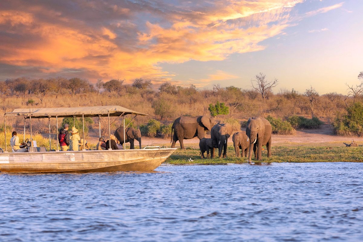 best african safari tours