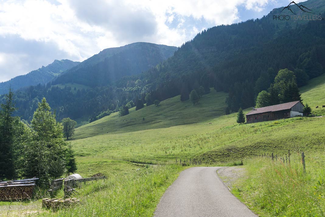Breiter Fahrweg auf dem Weg zum Hochgrat