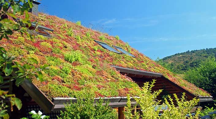Schräges Dach mit begrüntem Bewuchs und Solarpanelen unter blauem Himmel.