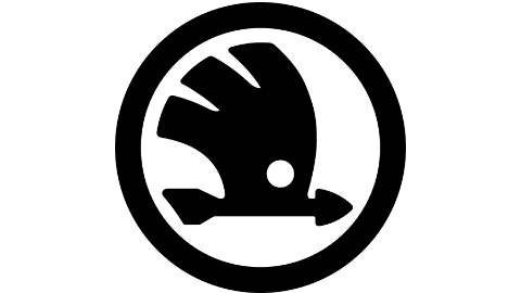 Skoda logo ramen blinderen