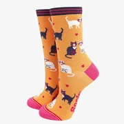 cats & hearts socks